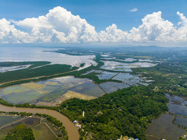istock Countryside of the Philippines. 1587179057