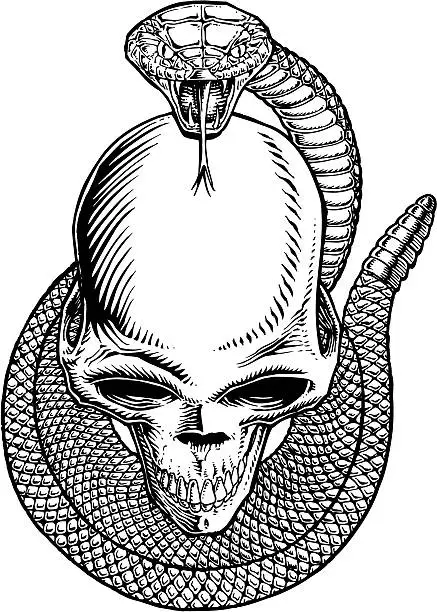 Vector illustration of Skull wrapped in snake