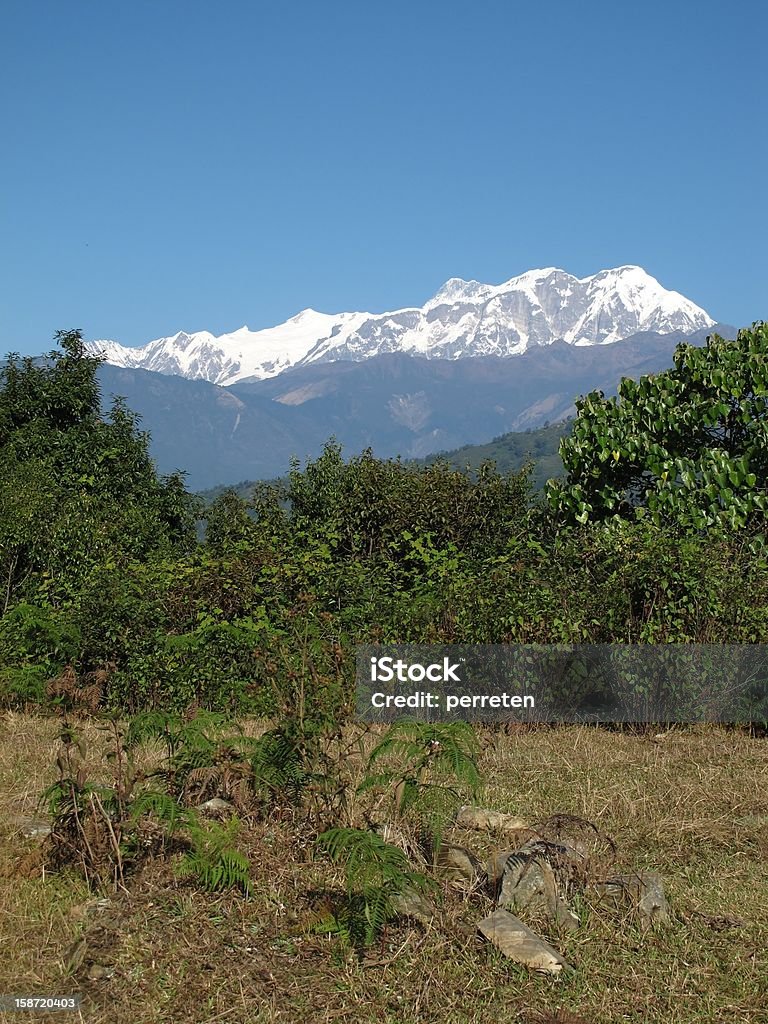 Montes Annapurna, plantas verdes - Foto de stock de Alto - Descrição Geral royalty-free