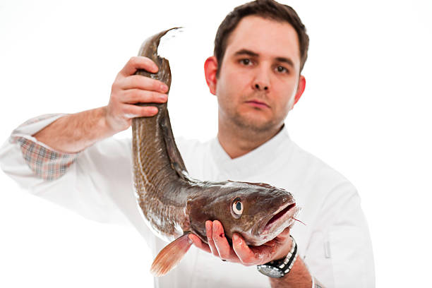 istock Young male cook with white jacket. 158720670