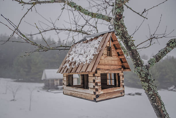 istock Wooden bird feeder hangs from a tree branch 158722460