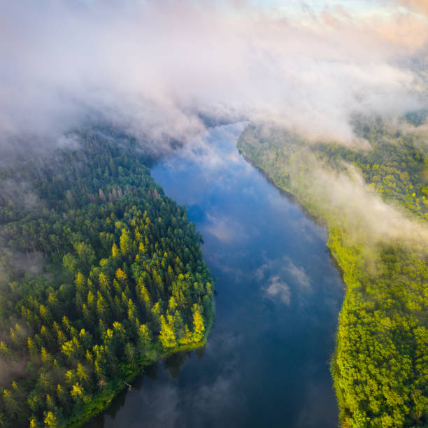 istock Aerial view of beautiful lake 1587234049