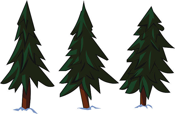 The station of three Pine trees in the snow vector art illustration