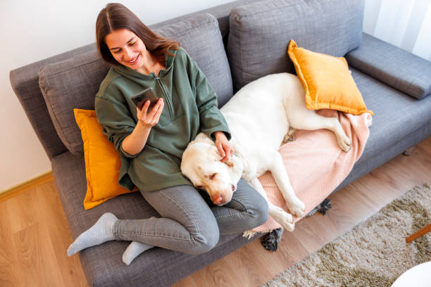 istock Woman using smart phone while spending time at home with her dog 1587236199