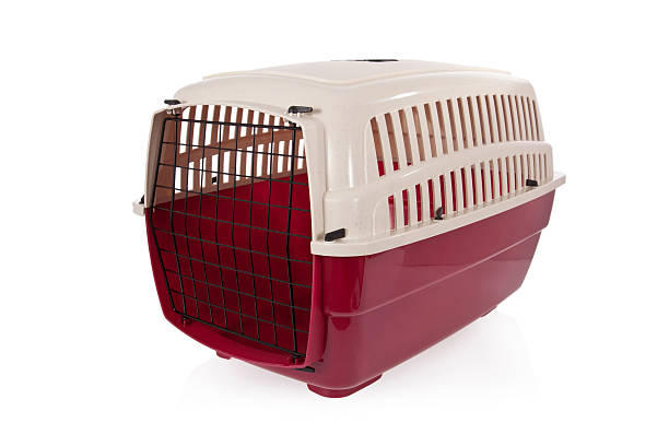 istock pet carrier isolated on a white background 158723694