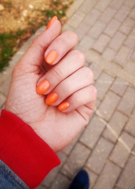 istock A neat manicure with orange varnish. 1587237824