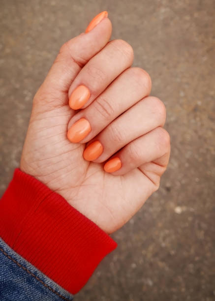 istock A neat manicure with orange varnish. 1587237826
