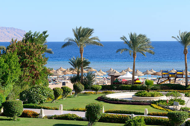 istock Beach at luxury hotel, Sharm el Sheikh, Egypt 158724182