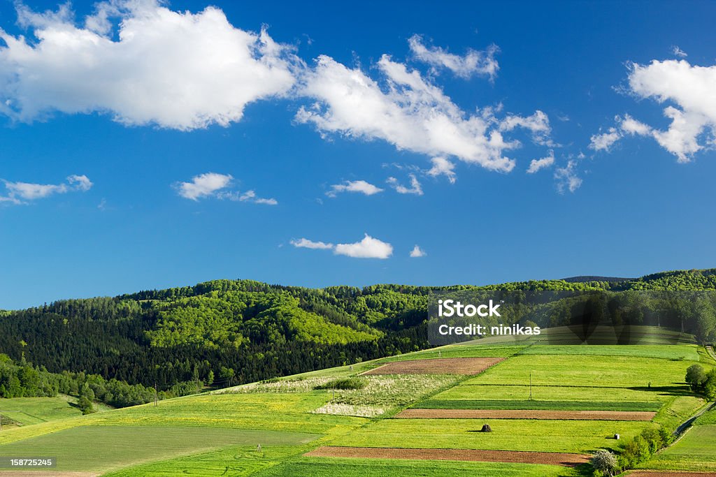 Mountain landscape in summer Beskid Mountains Stock Photo