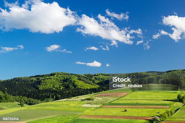 Mountain Landscape In Summer Stock Photo - Download Image Now - Beskid Mountains, Agricultural Field, Beauty In Nature