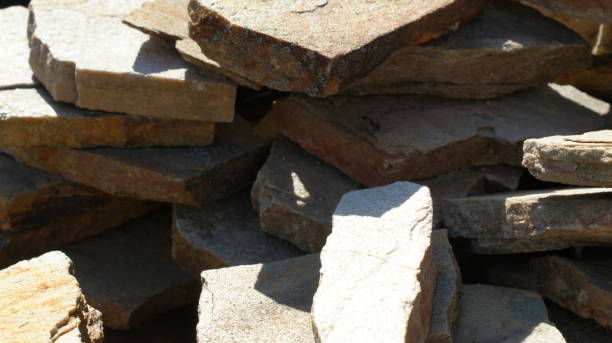 istock Natural Elegance - Decorative Stones in the Botanical Garden 1587255482