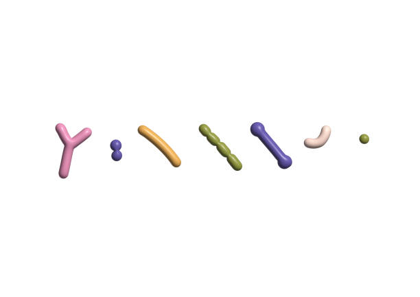 3d render singlr different probiotics. Volume simple illustration for Medicine or dietary supplements for gastrointestinal health. Bifidobacterium, lactobacillus, streptococcus thermophilus