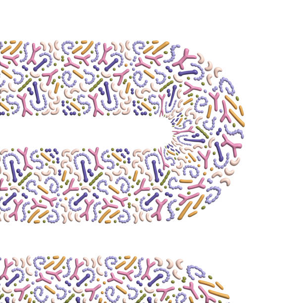 3d render Microbiome abstarct banner design. Probiotics concept. Lactic acid bacteria. Good microorganisms for gut, intestinal flora health. Microflora. Volume illustration