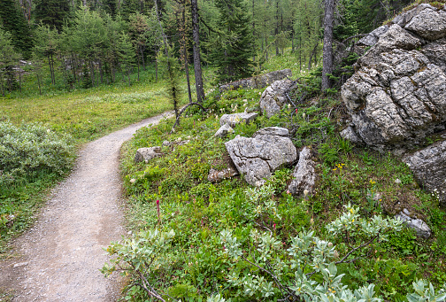 Bend in a hiking trail skirting boulders at Sunshine Meadows in Mount Assiniboine Provincial Park, British Columbia, Canada