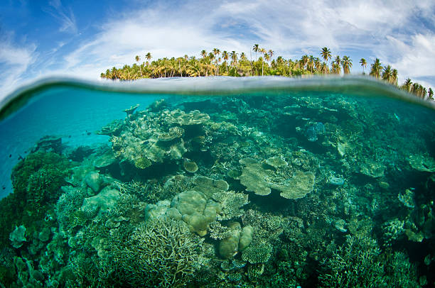 istock coral reef and island 158727656