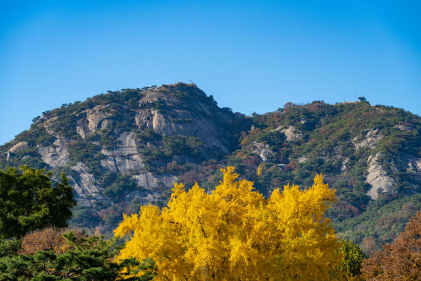 Aerial view overlooking the mountains of the Bukhansan National Park in Seoul, South Korea, Asia.