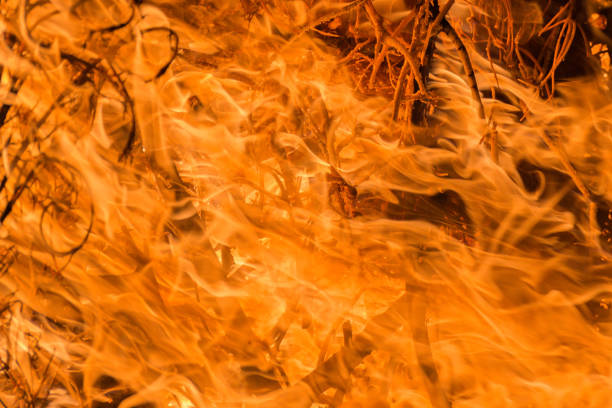 istock Blazing Earth: The Interplay of Climate Change and Escalating Fire Hazards 1587296308