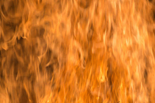 Blazing Earth: The Interplay of Climate Change and Escalating Fire Hazards