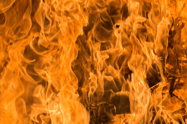 Blazing Earth: The Interplay of Climate Change and Escalating Fire Hazards
