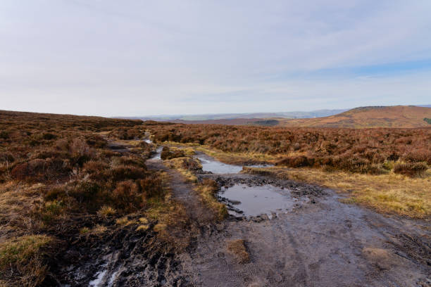 istock Mud and icy puddles on the footpaths across Burbage Edge. 1587309771