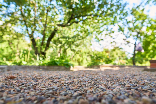 Gravel path in garden on summer sunny day.