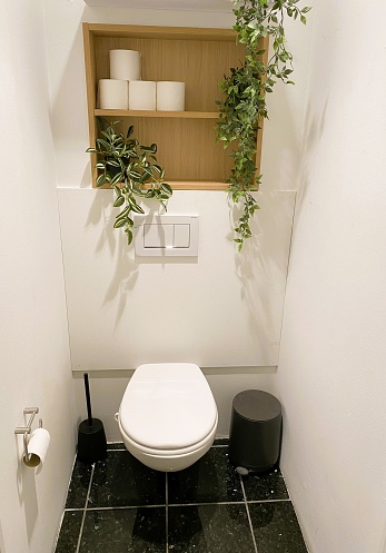 Small toilet room with potted plants. Scandinavian design.