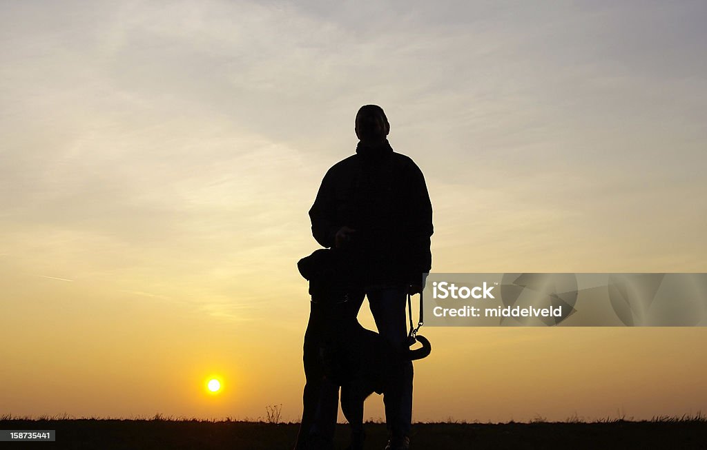 Sunset scene Unrecognizable Man walking with his dog at sunset Men Stock Photo