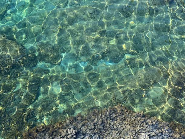 istock Sea clear water with pebbles and algae at the bottom. 1587392758