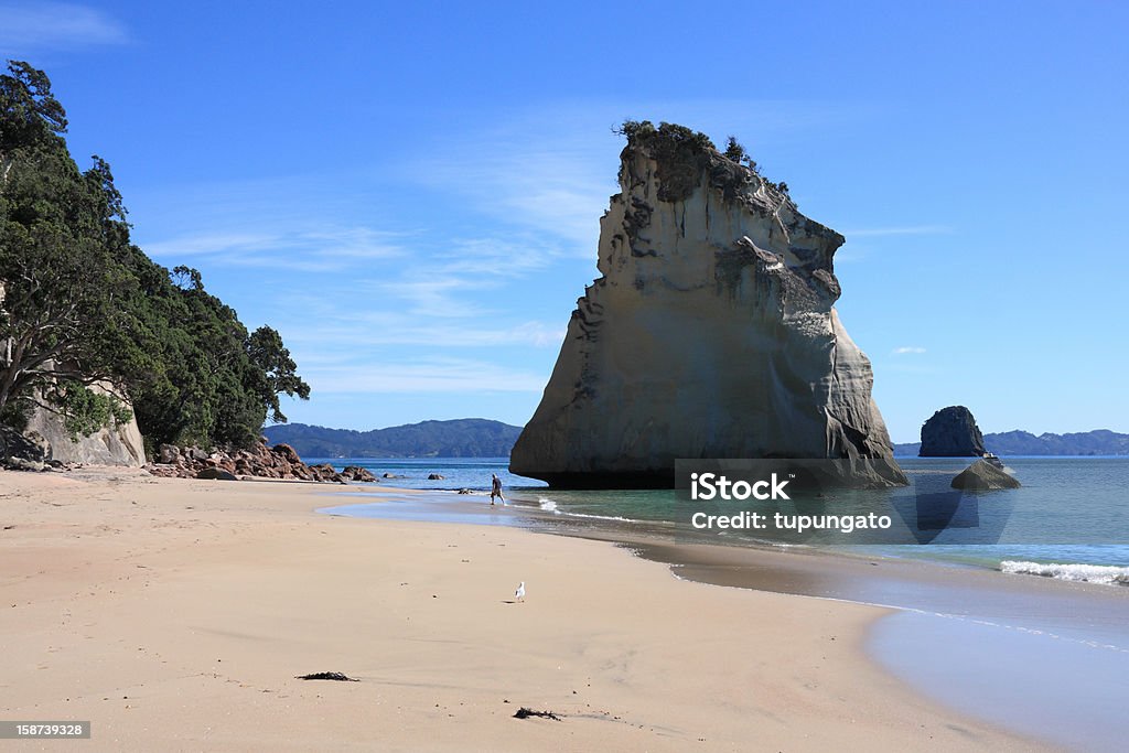 Playa de Nueva Zelanda - Foto de stock de Agua libre de derechos