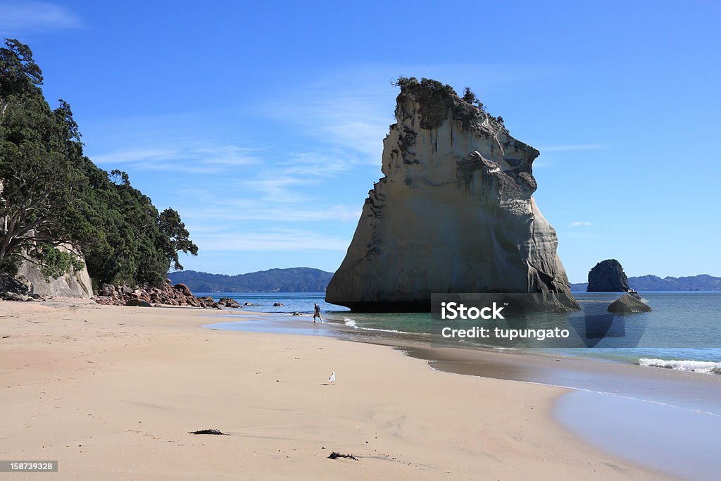 Nowa Zelandia beach - Zbiór zdjęć royalty-free (Australazja)