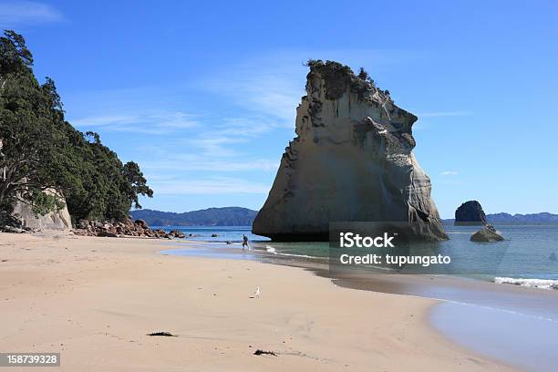 Nowa Zelandia Beach - zdjęcia stockowe i więcej obrazów Australazja - Australazja, Bez ludzi, Cathedral Cove - Waikato Region