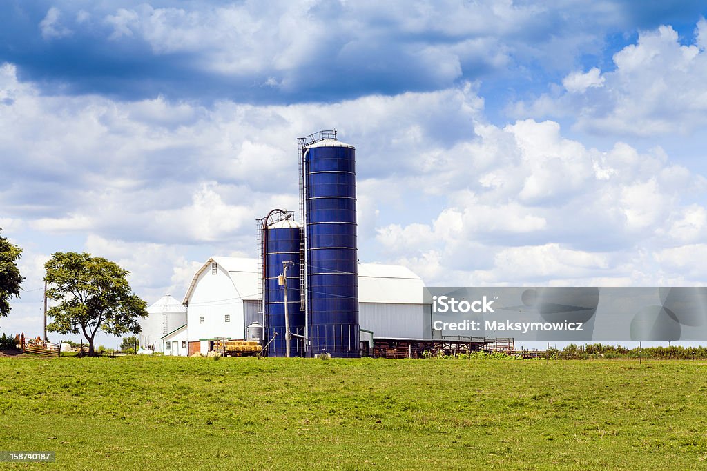 Tradicional estadounidense blanco Barn con cielo azul - Foto de stock de Agricultura libre de derechos