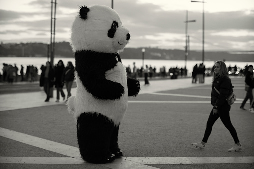 Lisbon, Portugal - January 15, 2023: A street artist impersonates a panda bear at the Praça do Comércio square in Lisbon downtown.