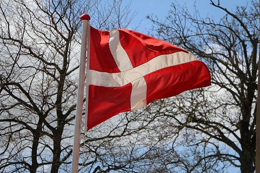 red and white denmark flag is blowing in the wind in front of a forest