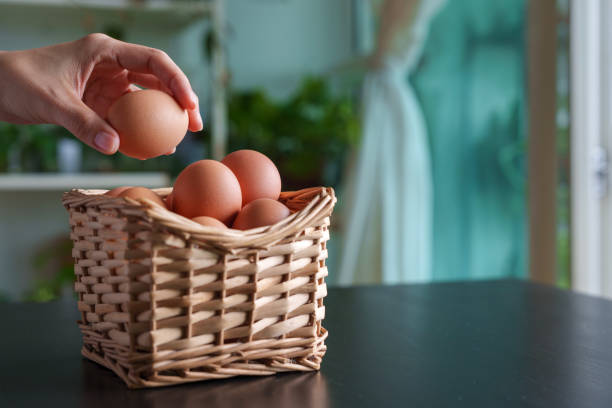 istock Don't put all your eggs in one basket 1587424349