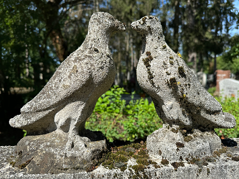 Doves on a tumb in the public cemetery