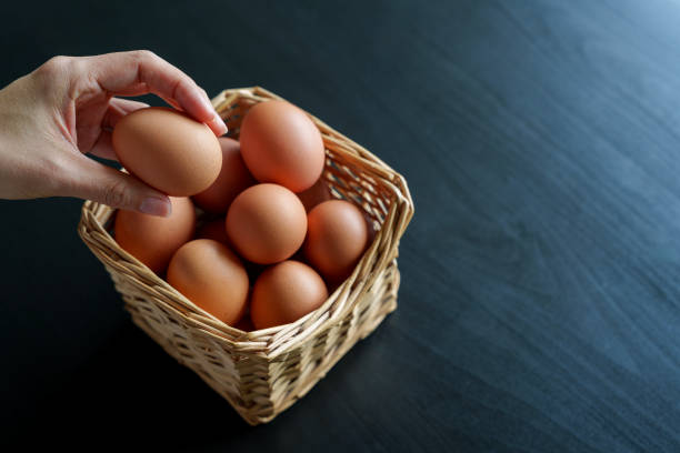 istock Don't put all your eggs in one basket 1587453391