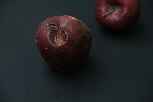 Rotten Apples on black background  , dark view