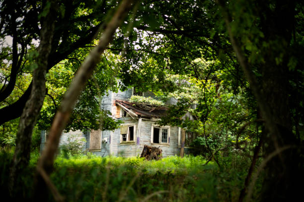 A creepy, broken down old house in the woods.