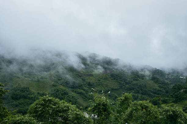 istock Green Season mountains in morning 1587471304