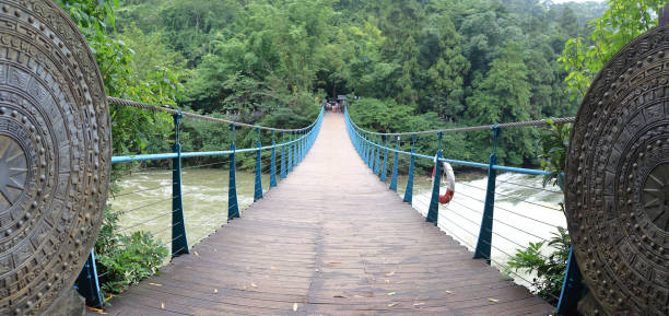 istock Bridge in the jungle 1587494141