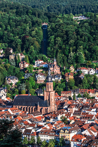 View of German city Heidelberg with old city and Church of the Holy Spirit (German: Heiliggeistkirche) on a sunny summer evening, vertical