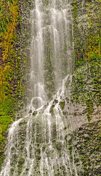 삼각대를 폴즈 지역에서는 - karekare falls 뉴스 사진 이미지