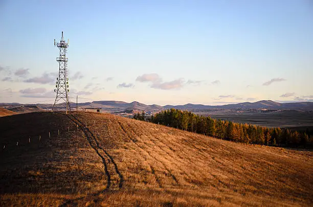 Photo of Grassland in the morning