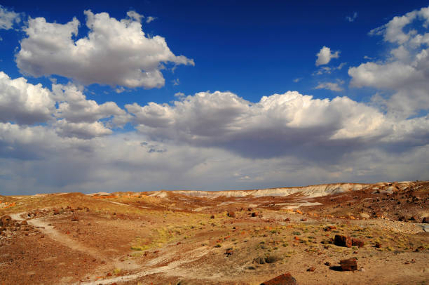 istock Rugged and Desolate Landscape Petrified Forest Arizona 1587509675