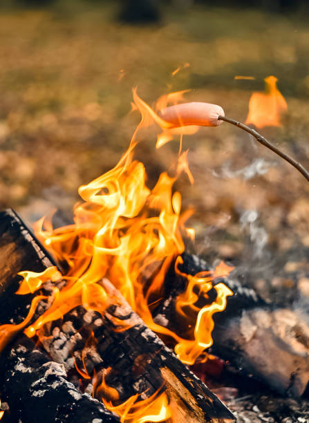 istock fried bacon in a pan over a campfire in the forest 1587511806