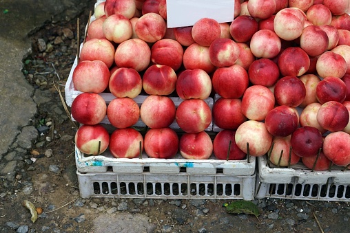 A red apple in boxes on the street market in the community for a tourist to shopping.