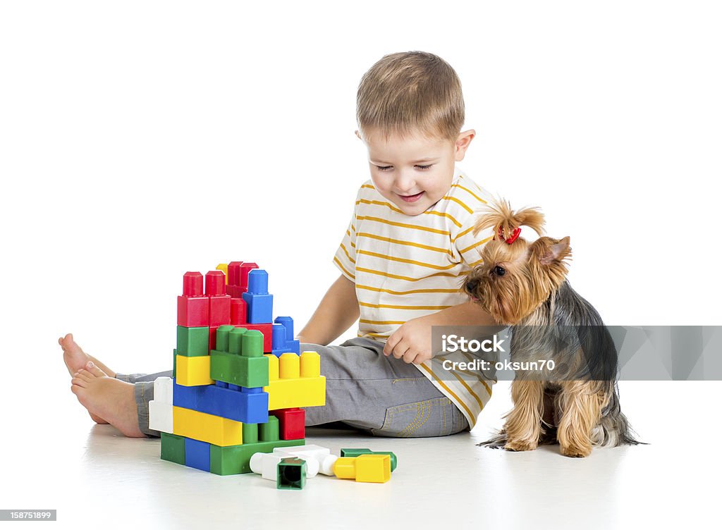 Criança brincando com blocos de brinquedo. York terrier cachorro sittin - Foto de stock de Amizade royalty-free