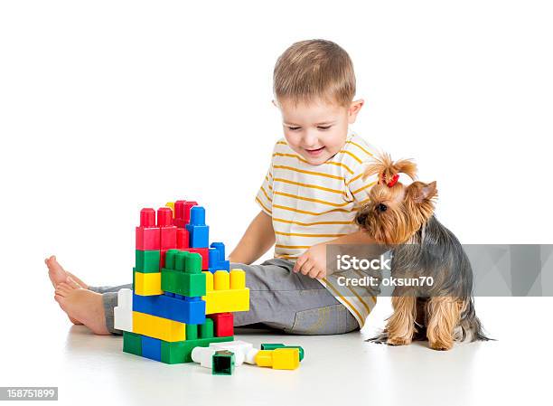 Foto de Criança Brincando Com Blocos De Brinquedo York Terrier Cachorro Sittin e mais fotos de stock de Amizade