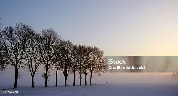 Paisagem De Inverno - Fotografias de stock e mais imagens de Ajardinado - Ajardinado, Amanhecer, Ao Ar Livre